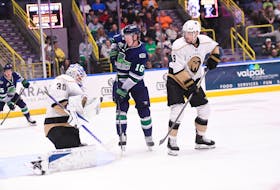 The Newfoundland Growlers and the Florida Everblades are scheduled to renew their playoff rivalry when they meet in the ECHL Eastern Conference finals for the second straight year. The series is scheduled to start March 19 in Florida. Photo courtesy Florida Everblades