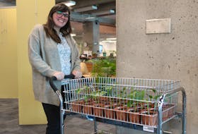 Nat Beltran, a learning commons assistant at the Nova Scotia Community College Truro Campus, came up with the idea to use plants to help improve the mental health of first-year students. Brendyn Creamer