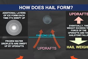 Thunderstorms can help develop hail until the hailstones become too heavy to be supported by the updraft.
