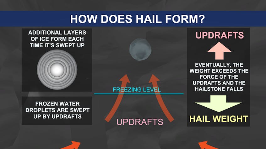Thunderstorms can help develop hail until the hailstones become too heavy to be supported by the updraft.