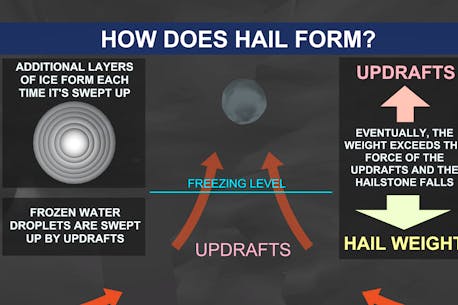 ASK ALLISTER: How does hail form?