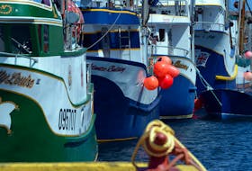 Fishing vessels at the Prossers Rock small boat basin in St. John's on May 15. For most of these boats snow crab has been their main fishery for the past few years.

Keith Gosse/The Telegram