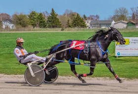 Kiss Me I'm Irish and driver Ryan Campbell, one of three wins in the bike for Campbell on Saturday afternoon at Northside Downs CONTRIBUTED/TANYA ROMEO