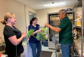 Tracy Nickerson (from left) cafeteria supervisor at BMHS  and cafeteria sub bar specialist Denise Smith accept delivery of fresh organic produce from Matthew Roy, owner of Coastal Grove Farm in Port LaTour. The pilot project is a Health Promoting Schools (HPS) initiative. KATHY JOHNSON