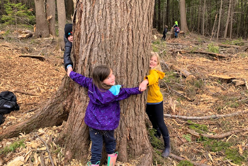 Children enjoy seeing how many of them it will take to circle a large tree in Victoria Park. Just one of many fun activities at Forest School. Contributed
