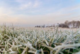 Clear skies and light winds are ideal for frost development. -123RF