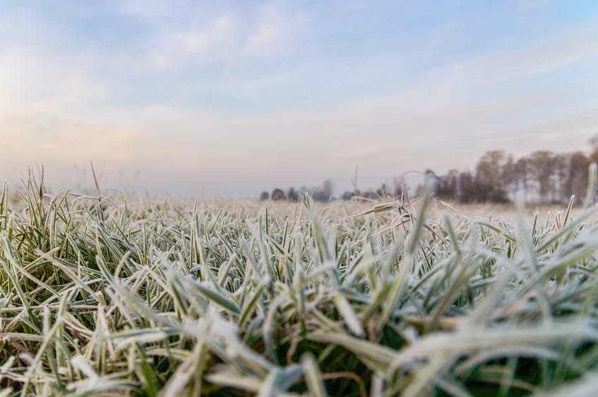 Clear skies and light winds are ideal for frost development. -123RF