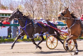 Kiss Me I'm Irish, #5, and driver Adam Lynk, get up in the final strides to prevail over Mando Fun and Ryan Campbell in 1:59.3 on Saturday afternoon at Northside Downs for the mare's second win a row. CONTRIBUTED/TANYA ROMEO