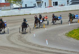 The Mike McGuigan-driven Tobins Future, left, and Lookoveryour, right, and driver Marc Campbell battle for the lead as the field turns for home during a $5,800 Grassroots Division event of the P.E.I. Colt Stakes for three-year-old fillies at Red Shores at Summerside Raceway on May 28. Lookoveryour won the race in 1:58.2, and Tobins Future finished second. Jason Simmonds • The Guardian