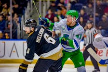 Florida Everblades forward Blake Winiecki, No. 41, battles with Growlers' defenceman, No. 6, Matthew Hellickson during Game 5 the ECHL Eastern Conference Finals. The Growlers face elimination after dropping the game 5-2. Newfoundland Growlers photo