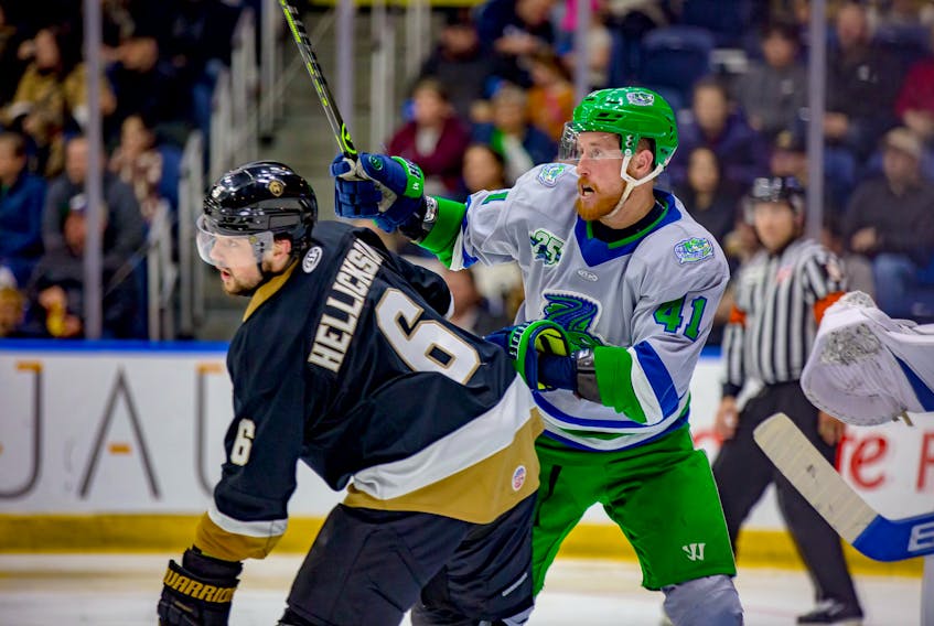 Florida Everblades forward Blake Winiecki, No. 41, battles with Growlers' defenceman, No. 6, Matthew Hellickson during Game 5 the ECHL Eastern Conference Finals. The Growlers face elimination after dropping the game 5-2. Newfoundland Growlers photo