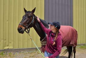 Horse owner Lauren Barrington of Chester Basin said it was “very scary” to have an equine that means so much to her threatened by an encroaching wildfire. KIRK STARRATT