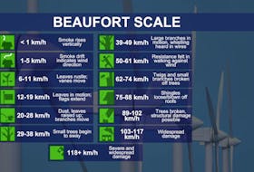 The rating scale and effects on land associated with the Beaufort Wind Scale.