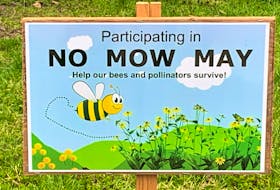 Signage encouraging folks to participate in No Mow May. Contributed