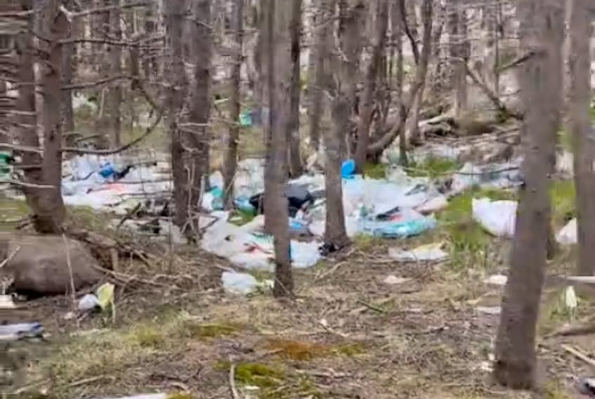 Plastic bags and other garbage blankets the ground on this section of the East Coast Trail's Sugarloaf Path.