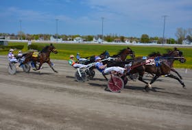 The field in Race 8 – a $7,250 Grassroots Division of the P.E.I. Colt Stakes for three-year-old colts – move into position off the start of the race. The race was part of a 12-dash presentation at Red Shores at Summerside Raceway on May 28. Jason Simmonds • Journal Pioneer