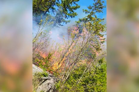 Roofers believe they witnessed start of Tantallon wildfire: ‘It just looked like a bonfire’