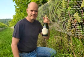 Bruce Ewert in his vineyard in the Gaspereau Valley. L'Acadie Vineyards has been recognized for the environmental friendliness of its practices. - Courtesy of L'Acadie Vineyards