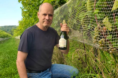 Vegan, organic, geothermal, natural: L'Acadie Vineyards keeps it green