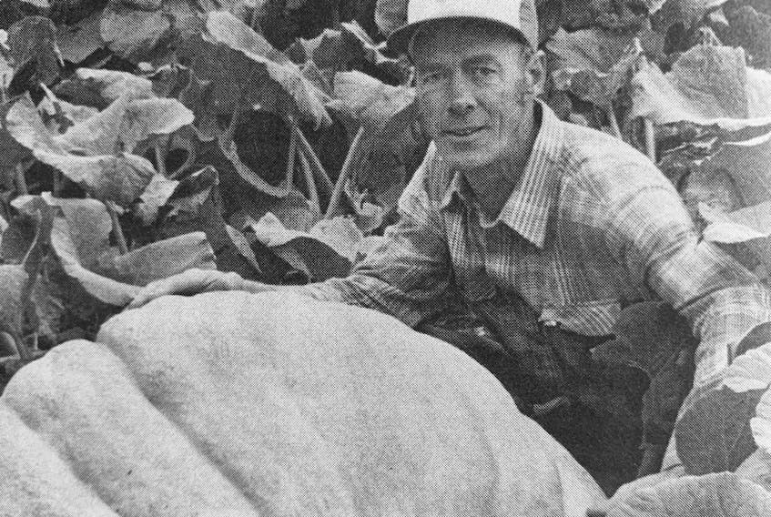 In 2008, Hants County was mourning the loss of giant pumpkin grower Howard Dill, as pictured here in 1981 when he broke the Guinness World Record. Photo courtesy of the Dill family.