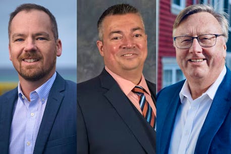 Who will be the next leader of the Progressive Conservative Party of Newfoundland and Labrador?