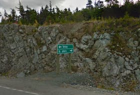 Police say a teen was assaulted during a field party near a wooded area off the Torbay Bypass Road, just west of Torbay Road, on May 30. - Google Streetview