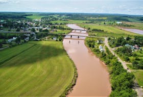 Fish and other aquatic life have adapted to naturally muddy conditions in rivers like the Shubenacadie River, but for most rivers and brooks, they do best in clean, clear water. Contributed