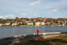 FOR BIZ/TAX ASSESSMENT STORY:
A woman walks her dog along the path on the Northwest Arm in Halifax Tuesday November 5, 2019.

TIM KROCHAK/ The Chronicle Herald
