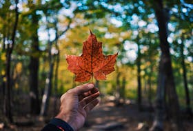 What does it mean to be Canadian? In the lead-up to Canada Day, Pam Frampton would love to hear from readers. Email pamelajframpton@gmail.com — Guillaume Jaillet/Unsplash photo