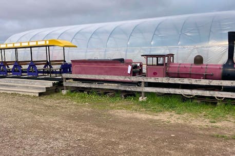 Aulac, N.B., business preparing to use former Upper Clements Park train to transport visitors around farm