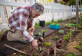 Gardening is one of the ways to enjoy spring. Getting outside to participate in activities you enjoy can also help with overall wellness and mental health. PEXELS