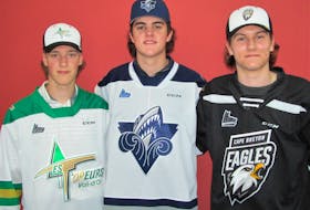 Three local hockey players were drafted in the recent Quebec Major Junior Hockey League draft; goaltender Colby Brown (left), forward Logan Roop and defenceman Logan Quinn. Contributed