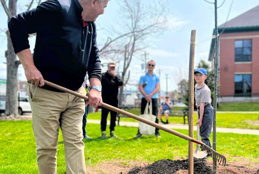 Truro Mayor Bill Mills, along with a little helper, do the final touches of planting a red oak tree on Arbour Day recently at the Town’s civic square.