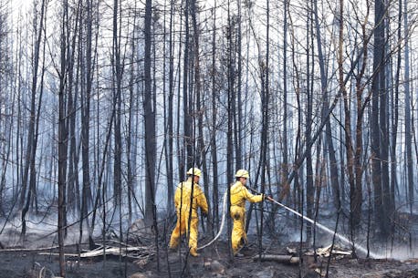 Shelburne County wildfire decreases in size and is 'being held'