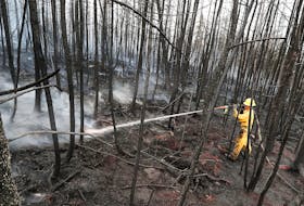 Annapolis Royal volunteer firefighter Jason Rock sprays hot spots on Saturday morning, June 3, in the response to the Shelburne County wildfire situation. The fight against the fire was aided by much-needed rain as well. COMMUNICATIONS NOVA SCOTIA