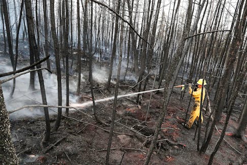 Annapolis Royal volunteer firefighter Jason Rock sprays hot spots on Saturday morning, June 3, in the response to the Shelburne County wildfire situation. The fight against the fire was aided by much-needed rain as well. COMMUNICATIONS NOVA SCOTIA