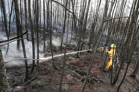 24,980-hectare Shelburne County wildfire aided by rain, large firefighting response