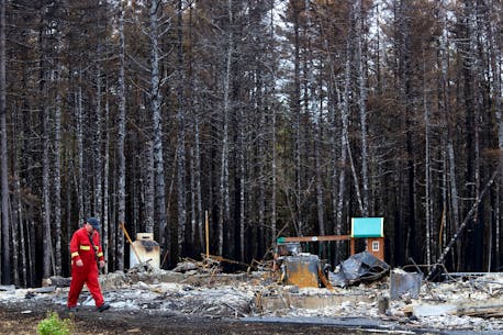 IN PHOTOS: A look inside the Hammonds Plains area wildfire zone