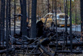 Burnt trees are backdropped by a destroyed  car that was parked in front of a destroyed home on Bonsai Drive following last week's wildfire in Hammonds Plains, NS Tuesday June 6, 2023. 
POOL/Haifax Chronicle Herald-Tim Krochak