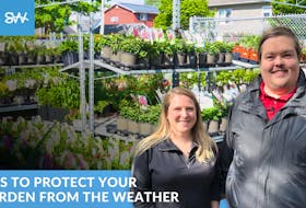SaltWire weather specialist Allister Aalders speaks to Emily Tregunno of Halifax Seed about gardening and the weather.