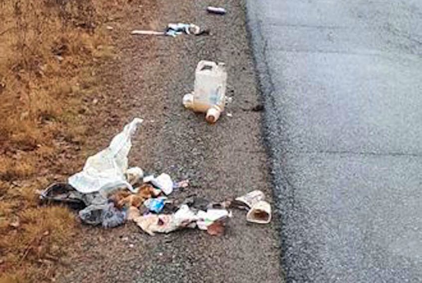 Pictured is garbage strewn along a popular road in Debert, Colchester County from a couple of years ago. File