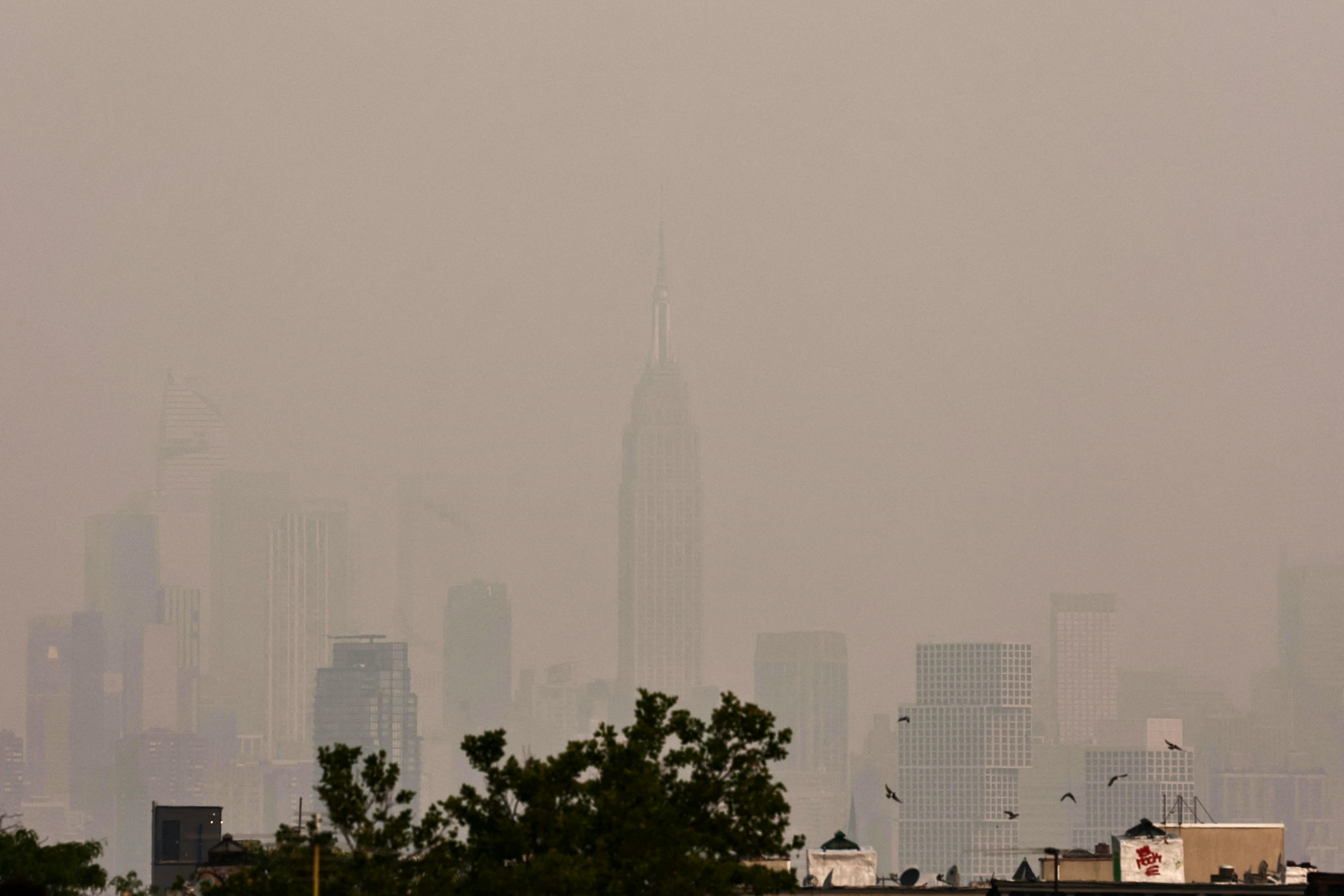 Canadian wildfires force MLB, WNBA to postpone games due to poor air  quality