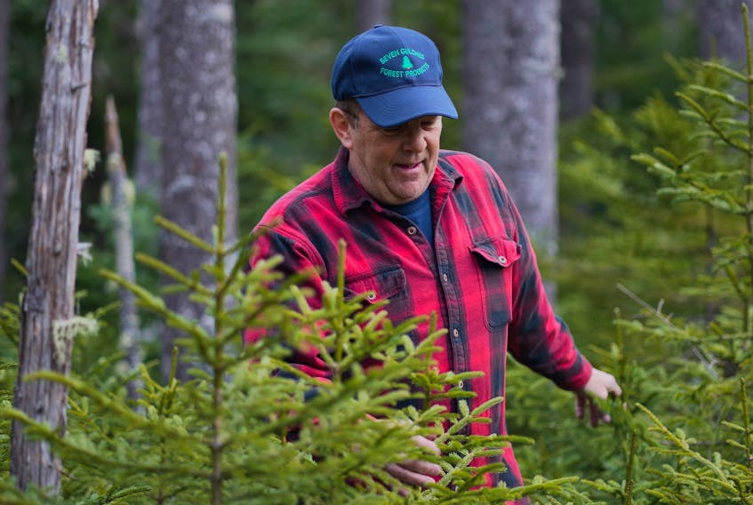 Peter Spicer is the owner and operator of Seven Gulches Forest Products in Cumberland County. He says he manages his land the same way his father did, with an emphasis on keeping the forest healthy and sustainable. PHOTO CREDIT: Contributed