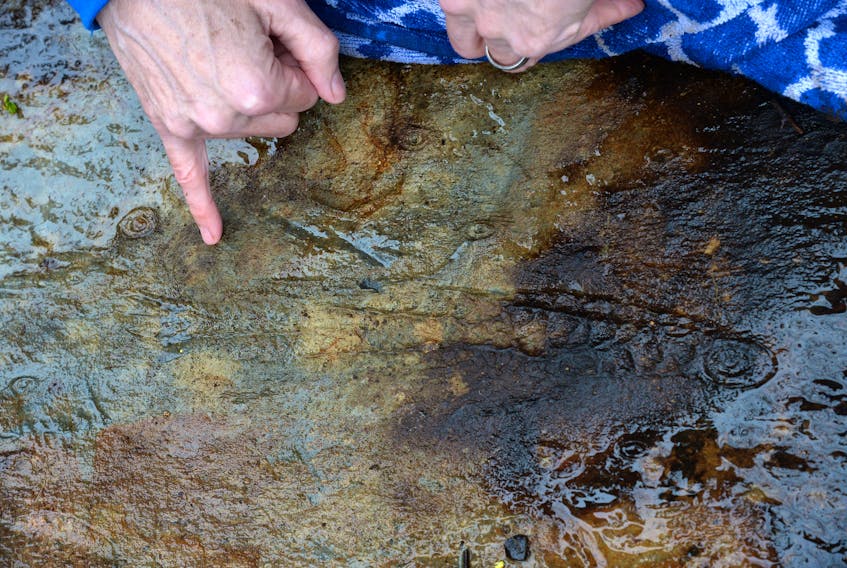 Finding fossils  
   One of many fossils in a piece of bedrock recently uncovered in Upper Island Cove. See story on page A6. Keith Gosse • The Telegram