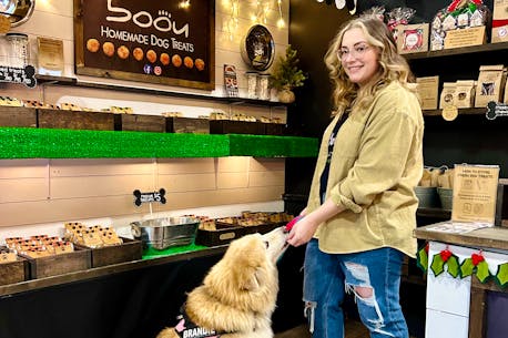 'Something for every pup': Newfoundland pet treat business opening shop, bakery in Conception Bay South this fall