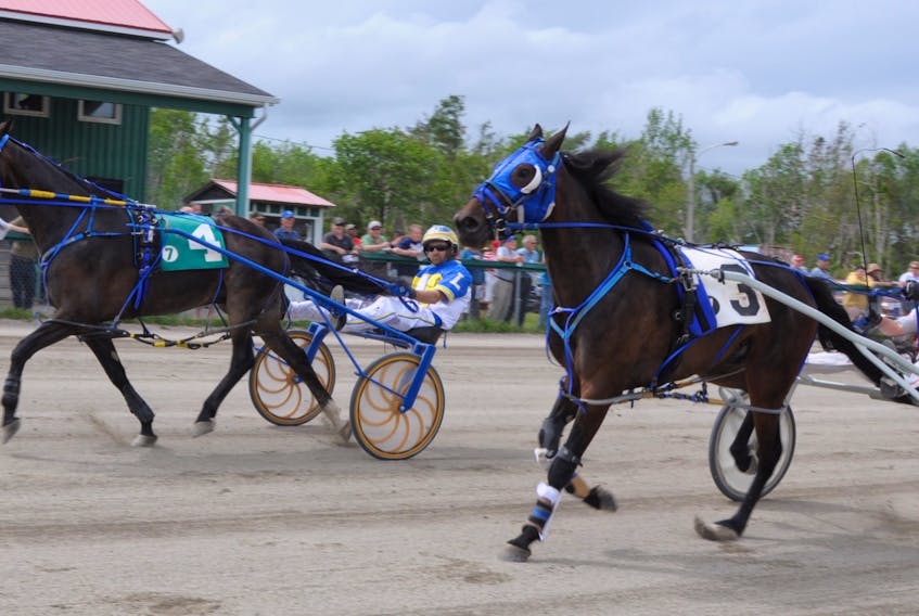 QTS Charlie and Shawn Lynk (No. 4) edge out Elm Grove Quiggly and Larry Snow, (No. 3) to win the 125th Anniversary Pace on Saturday afternoon at Northside Downs in North Sydney. Contributed/Chris Abbass