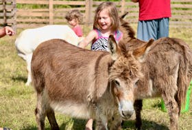 Six-year-old Diesel Skipper enjoyed spending time with the animals at the Serenity Acres Family Ranch petting zoo July 1.