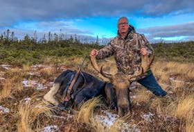 This moose was shot by Robert Richards from quite a distance with the Sierra Gameking BTSP bullets. Contributed