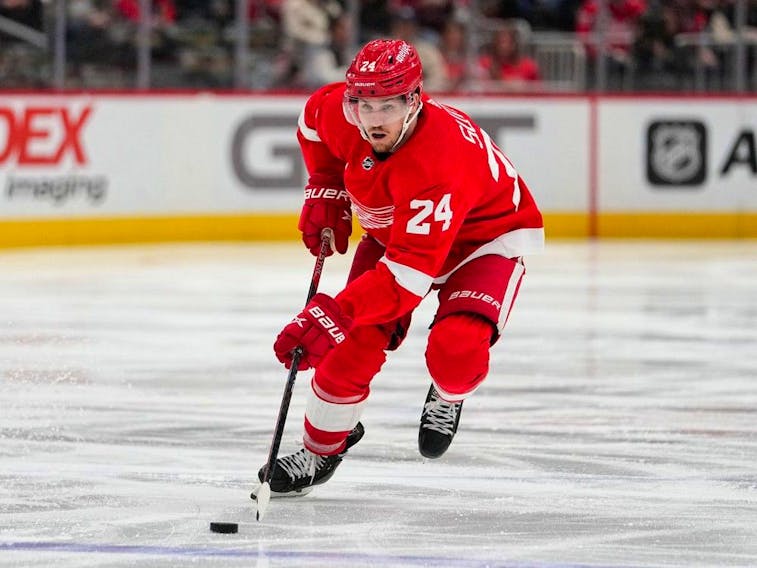 NHL Off-Season Outlook: Detroit Red Wings Have Cap Space to Step