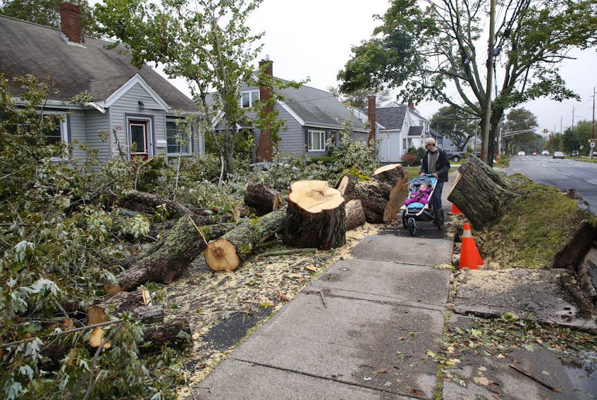 People pass by a large fallen tree in the wake of post-tropical storm Fiona on Chebucto Road in Halifax in September 2022. Fiona, which began as a hurricane in the Caribbean, came in at No. 8 for 2022's most expensive climatic events. - Tim Krochak / The Chronicle Herald